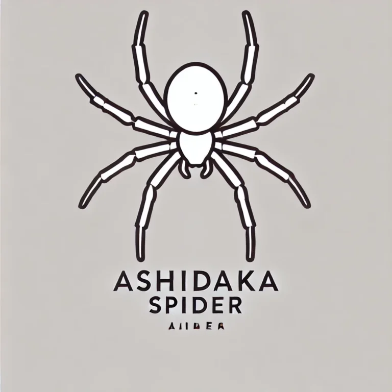 アシダカグモは退治しないで！ゴキブリを食べる益虫の生態を解説