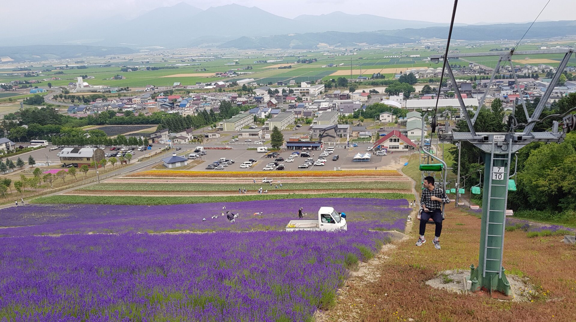 北海道富良野のラベンダー畑
