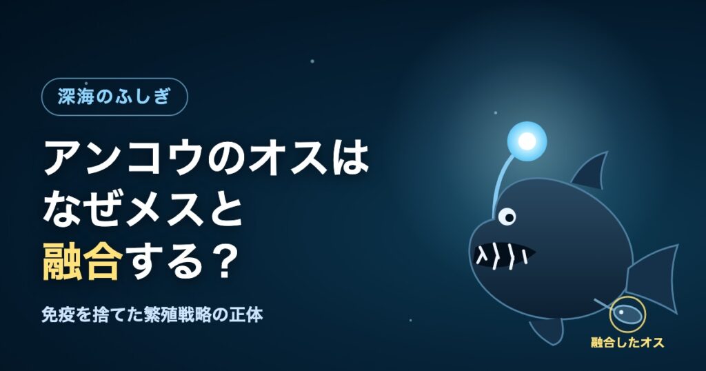 発光する提灯を持つメスの深海アンコウと、その体に融合した小さなオス