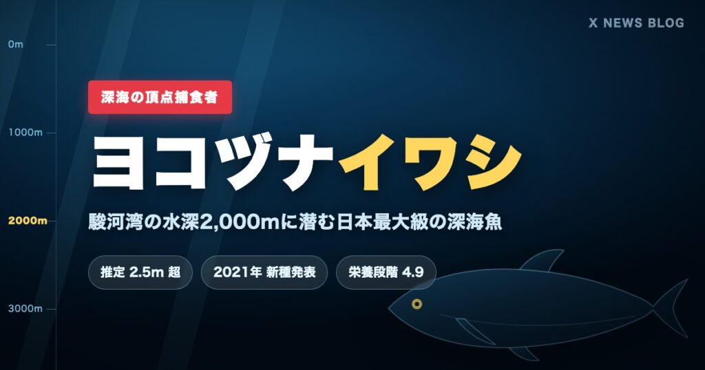 ヨコヅナイワシ｜駿河湾の水深2,000mに潜む日本最大級の深海魚