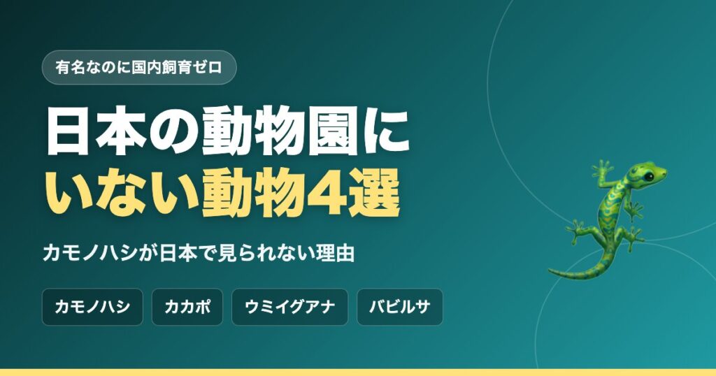 日本の動物園にいない動物4選｜カモノハシが日本で見られない理由