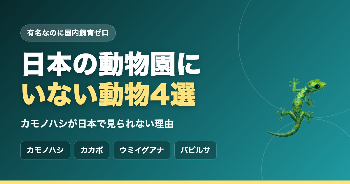 日本の動物園にいない動物4選|カモノハシが日本で見られない理由