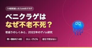 ベニクラゲはなぜ不老不死？｜若返りのしくみと、2022年のゲノム研究