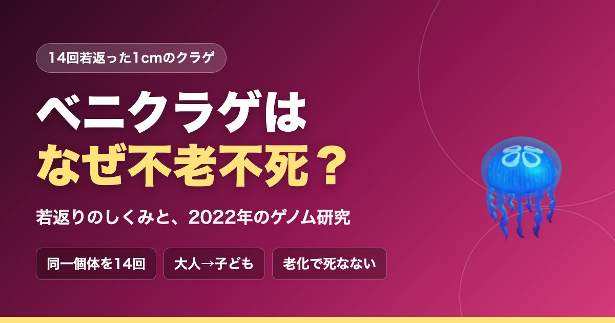ベニクラゲはなぜ不老不死?|若返りのしくみと、2022年のゲノム研究