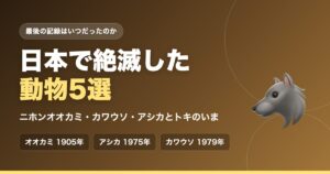 日本で絶滅した動物5選｜ニホンオオカミ・カワウソ・アシカとトキのいま
