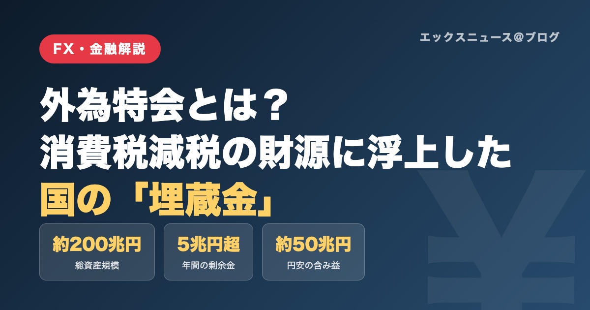外為特会とは?消費税減税の財源に浮上した国の埋蔵金の解説図解