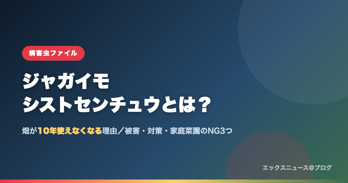 ジャガイモシストセンチュウとは?畑が10年使えなくなる理由と対策を解説する記事のアイキャッチ画像