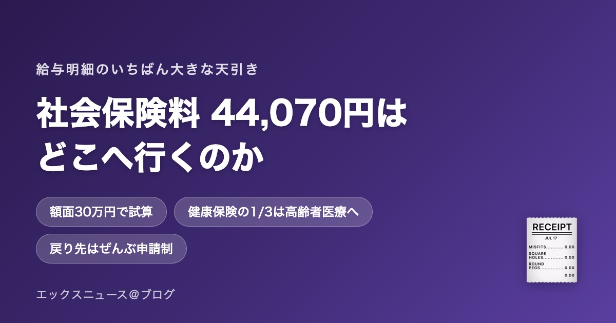 社会保険料44,070円はどこへ行くのか 額面30万円の内訳