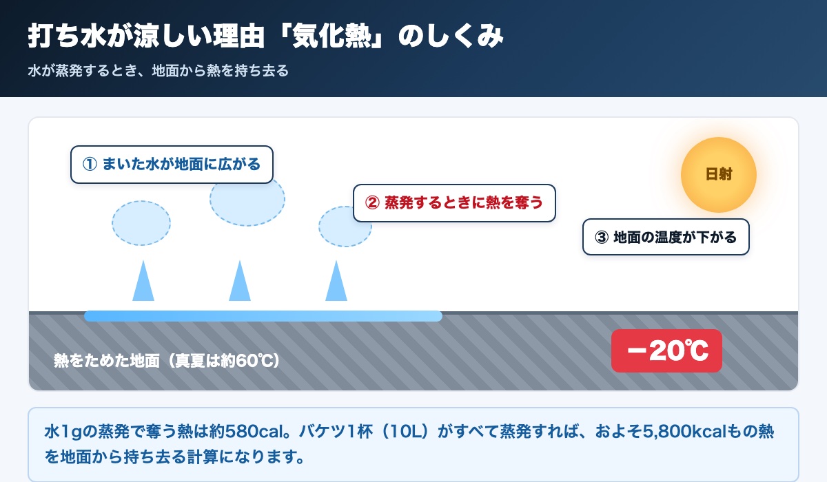 打ち水の気化熱のしくみ図解。まいた水が蒸発するとき地面から熱を奪い、地表面温度が下がる