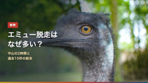 エミューの顔のアップ写真に「エミュー脱走はなぜ多い？」の文字