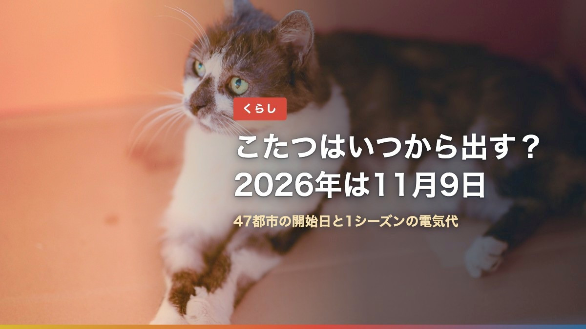 こたつの中でくつろぐ猫と「こたつはいつから出す？2026年は11月9日」の文字