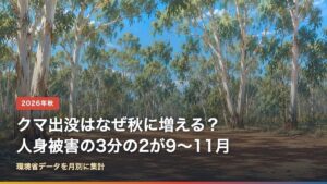 クマの出没が秋に増える理由と月別の人身被害の集中
