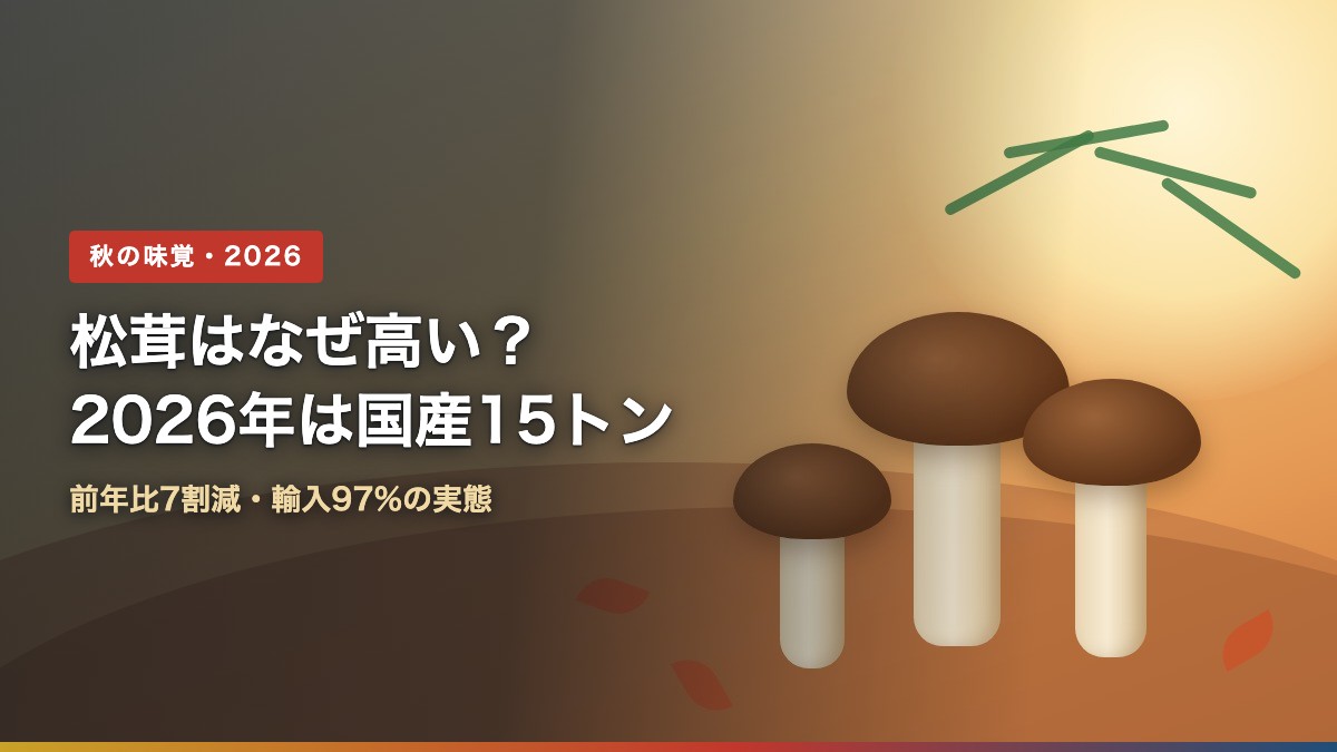 松茸はなぜ高い?2026年は国産15トンで前年比7割減・輸入97%