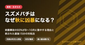 スズメバチはなぜ秋に凶暴になる？刺傷事故の93%が8〜10月に集中する理由と刺された直後15分の対処法