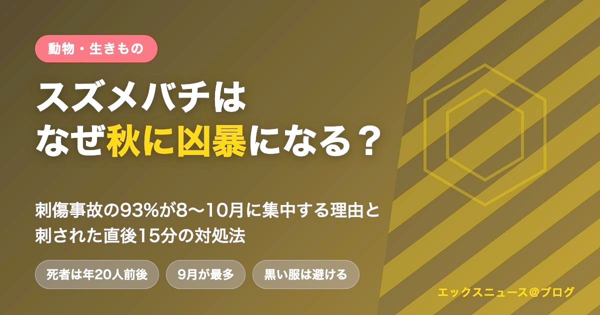 スズメバチはなぜ秋に凶暴になる？刺傷事故の93%が8〜10月に集中する理由と刺された直後15分の対処法