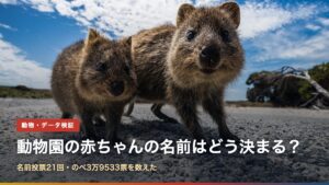 寄り添って立つ2頭のクオッカ。動物園の赤ちゃんの名前投票で最も票を集める人気動物