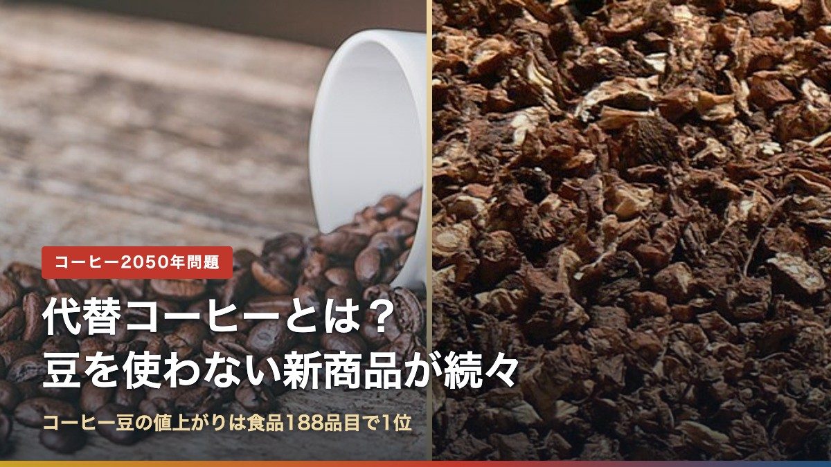 コーヒー豆と焙煎したたんぽぽの根の写真に「代替コーヒーとは？豆を使わない新商品が続々」の文字