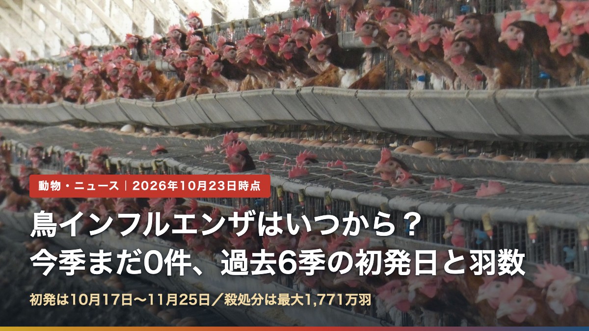 ケージで飼われる採卵鶏(鳥インフルエンザはいつから?今季まだ0件、過去6季の初発日と羽数)