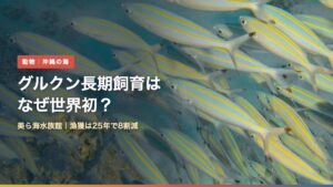 群れで泳ぐタカサゴ（グルクン）の写真に「グルクン長期飼育はなぜ世界初？」の文字