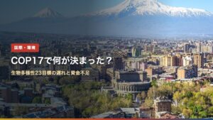 アルメニアの首都エレバンの街並みとアララト山。COP17生物多様性会議で何が決まった？