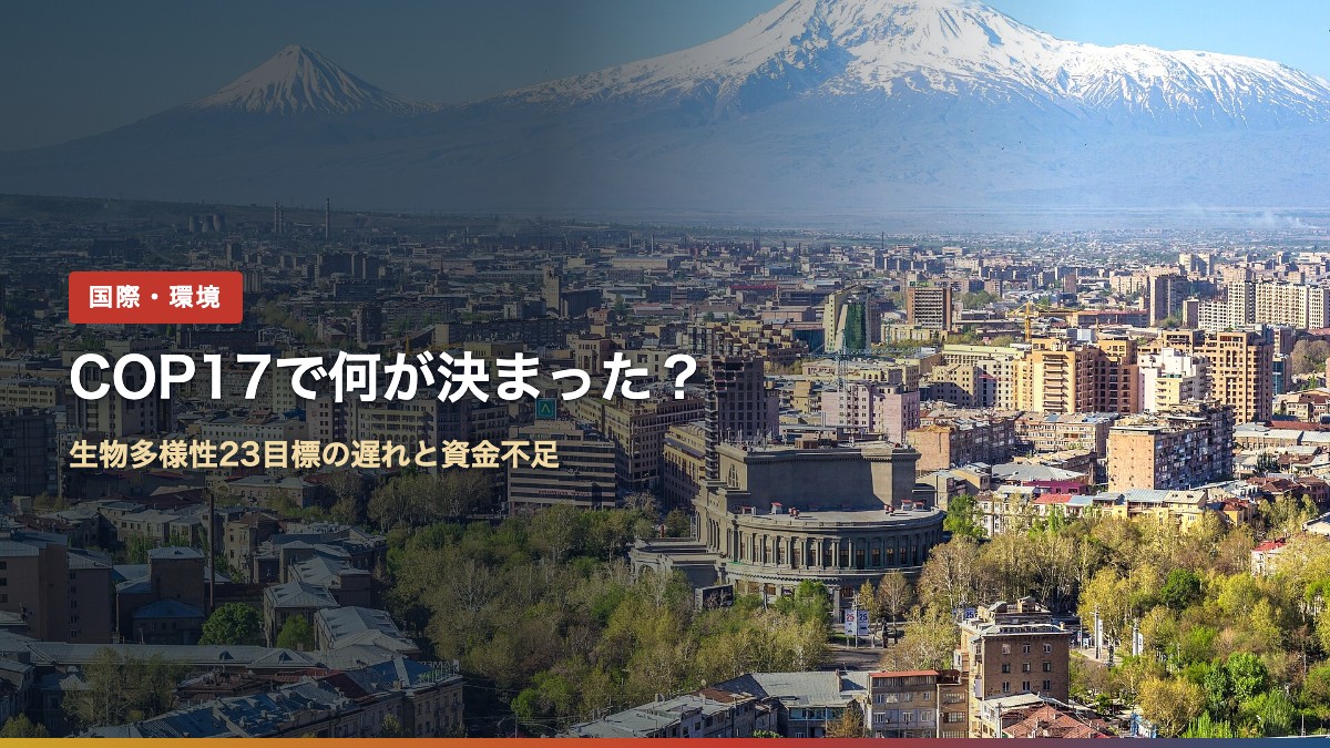 アルメニアの首都エレバンの街並みとアララト山。COP17生物多様性会議で何が決まった?