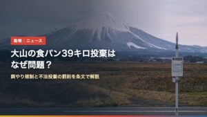鳥取県伯耆町から見た大山（大山の食パン39キロ投棄はなぜ問題？餌やり規制と罰則を条文で解説）