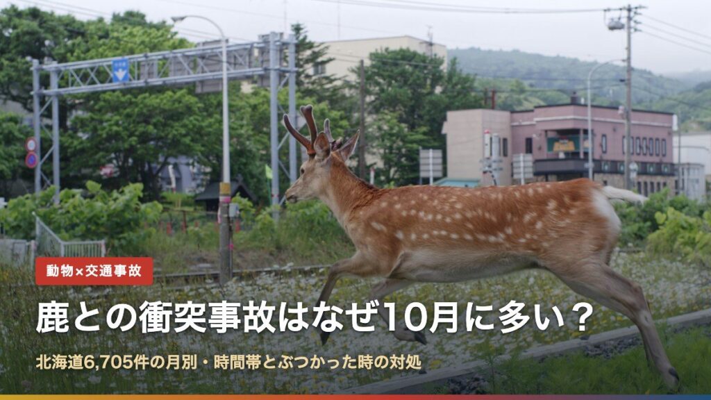 鹿との衝突事故はなぜ10月に多い？（写真は北海道の市街地を駆けるエゾシカ）