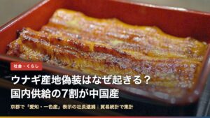 重箱のうな重（ウナギ産地偽装はなぜ起きる？国内供給の7割が中国産）