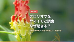 グロリオサの花（グロリオサをヤマイモと誤食、なぜ起きる？）