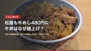 牛丼の並盛（松屋も牛めし480円に・牛丼はなぜ値上げ？）
