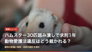 人の手に乗るハムスター（ハムスター30匹踏み潰しで求刑1年、動物愛護法違反はどう裁かれる？）