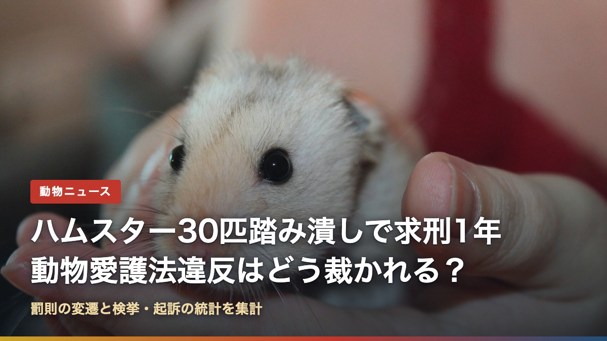 人の手に乗るハムスター(ハムスター30匹踏み潰しで求刑1年、動物愛護法違反はどう裁かれる?)