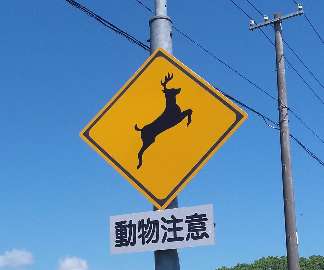 北海道の道路脇に立つシカのマークの「動物注意」標識