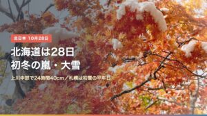 雪が積もった紅葉の枝と「北海道は28日 初冬の嵐・大雪」の文字