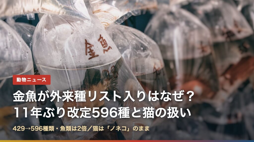 ビニール袋に入って売られる金魚と「金魚が外来種リスト入りはなぜ？11年ぶり改定596種と猫の扱い」の文字
