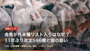 ビニール袋に入って売られる金魚と「金魚が外来種リスト入りはなぜ？11年ぶり改定596種と猫の扱い」の文字