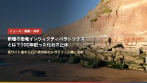 英ワイト島ハノーバー・ポイントの崖（新種の恐竜インウィクティベラトリクスとは？100年眠った化石の正体）