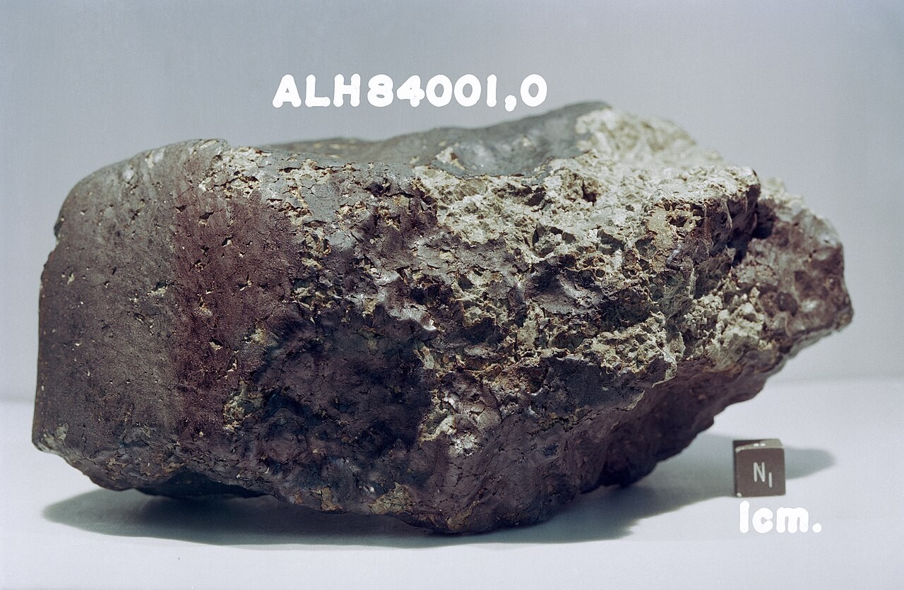 南極で見つかった火星隕石ALH 84001