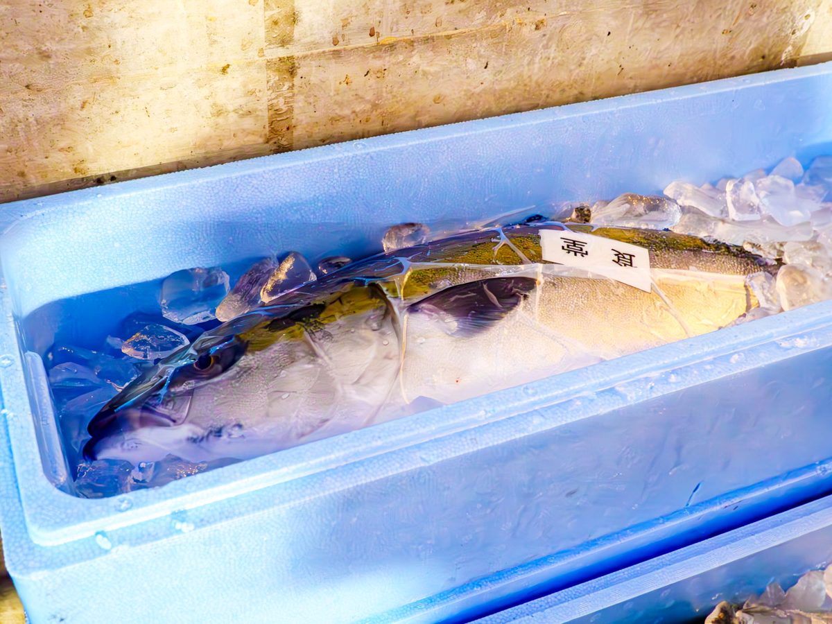 発泡スチロールの箱で氷詰めにされたブリ