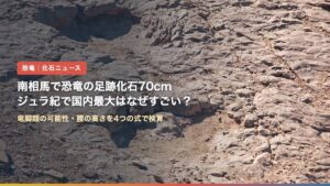 竜脚類の足跡化石の写真に「南相馬で恐竜の足跡化石70cm ジュラ紀で国内最大はなぜすごい？」の文字（写真は米ユタ州の参考写真）