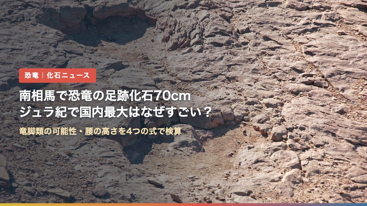 竜脚類の足跡化石の写真に「南相馬で恐竜の足跡化石70cm ジュラ紀で国内最大はなぜすごい?」の文字(写真は米ユタ州の参考写真)