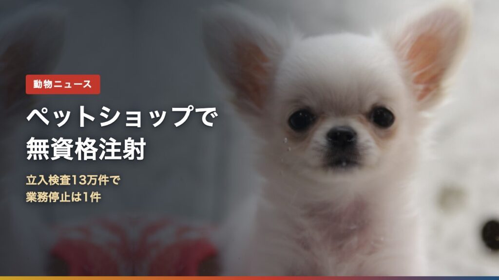 ペットショップの子犬（ペットショップ無資格注射はなぜ？立入検査13万件で業務停止1件）