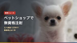 ペットショップの子犬（ペットショップ無資格注射はなぜ？立入検査13万件で業務停止1件）