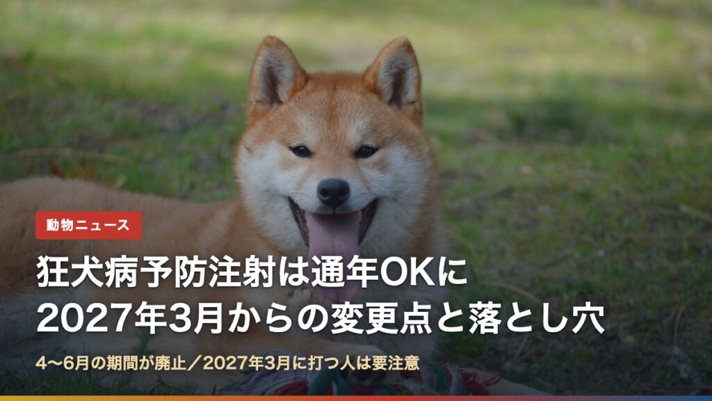 芝生で笑う柴犬と「狂犬病予防注射は通年OKに 2027年3月からの変更点と落とし穴」の文字