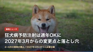 芝生で笑う柴犬と「狂犬病予防注射は通年OKに 2027年3月からの変更点と落とし穴」の文字