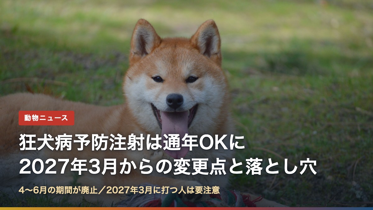 芝生で笑う柴犬と「狂犬病予防注射は通年OKに 2027年3月からの変更点と落とし穴」の文字