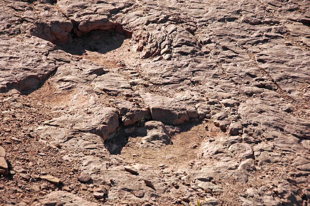アメリカ・ユタ州のジュラ紀後期の地層に残る竜脚類の足跡(参考写真)
