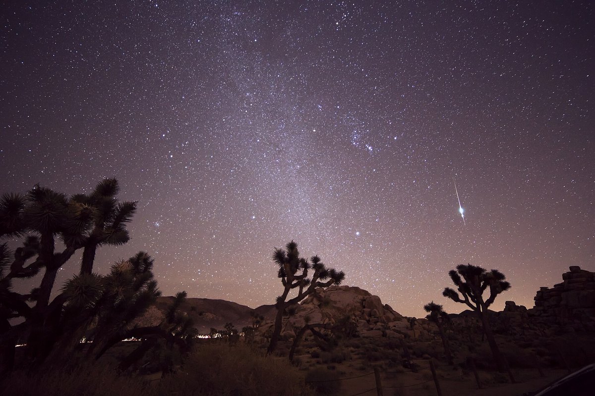 2015年11月6日、米カリフォルニア州ジョシュアツリーで撮影されたおうし座流星群の流星