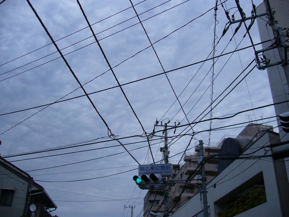 東京の住宅街の上空に何本も張られた電線と電柱